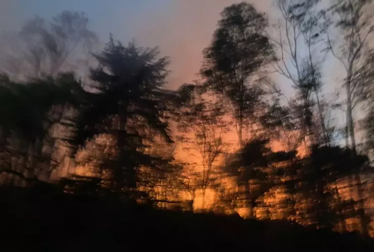 Carretera México-Cuernavaca