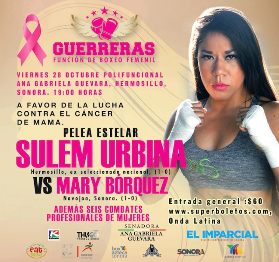 BOX GUERRERAS