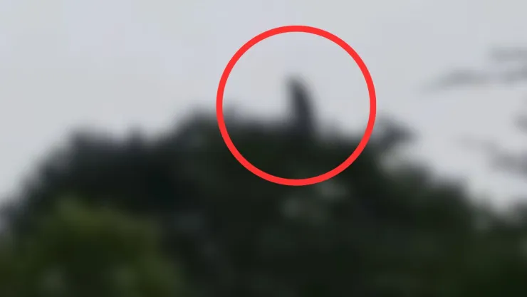 Supuesta bruja en Veracruz