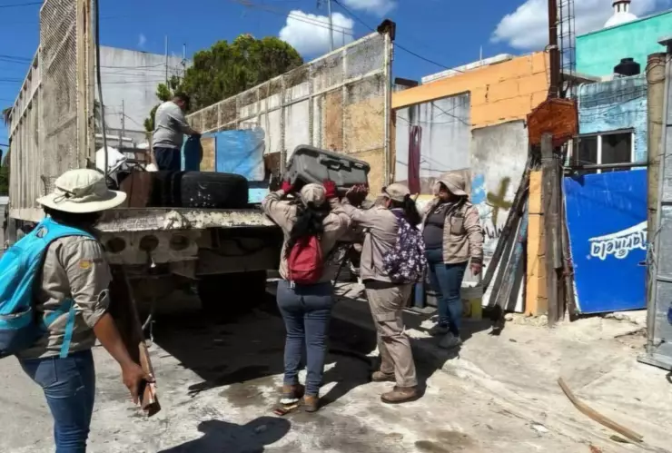 Quintana Roo_ promueven la eliminación de criaderos de moscos para evitar el dengue.jpg