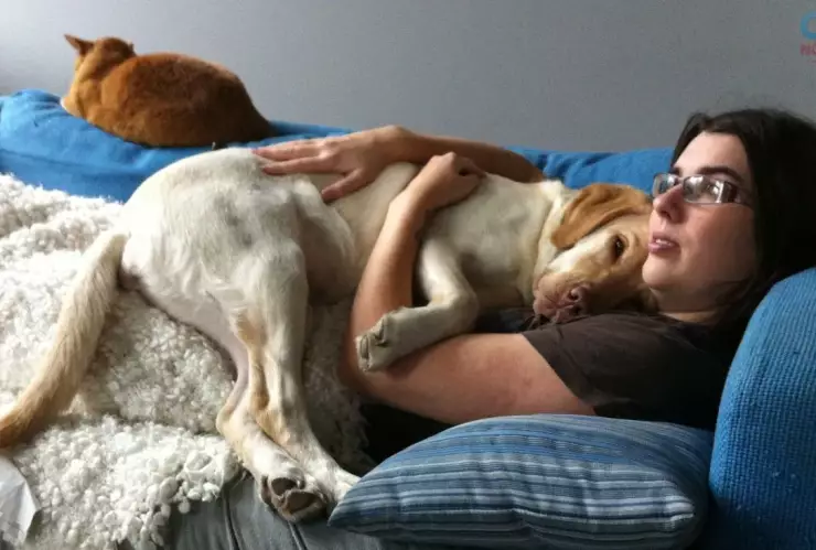 Permiso laboral para cuidar mascotas en México, nueva inicitaiva en el Congreso de la Unión