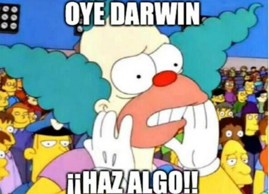 0ame1.png