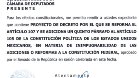 La reforma sobre inimpugnabilidad y “Los Orígenes del Totalitarismo”