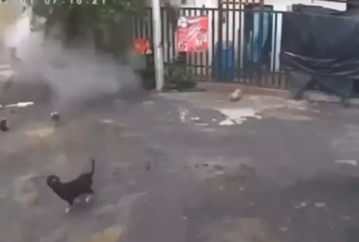 VIDEO: Deslave en cerro del Topo Chico en Monterrey deja casas dañadas