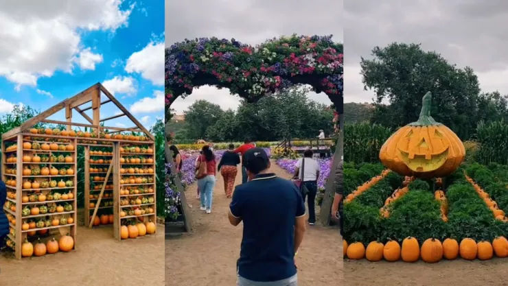 Dónde se ubica la ruta del maíz 2023 en Tijuana, costo de entrada y horario