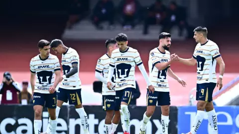 Pumas