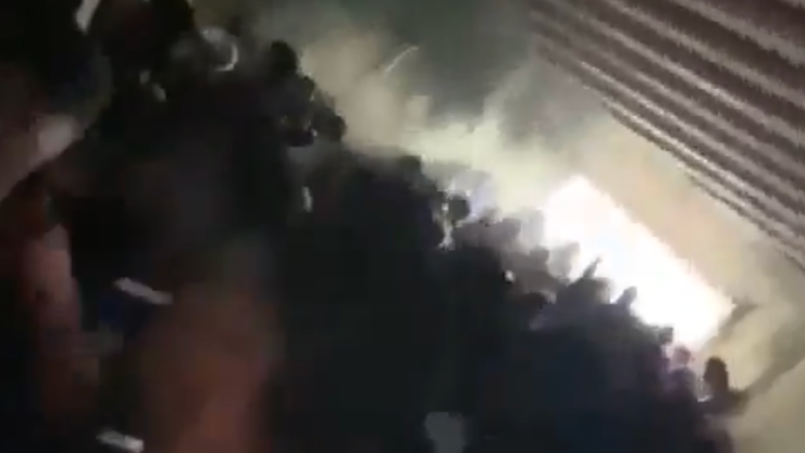 ESTAMPIDA HUMANA.png