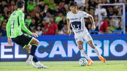 Pumas Argentina