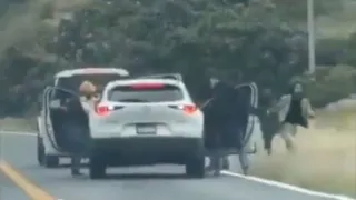 1280 x 720 px - 2025-11-29T195027.295.jpg