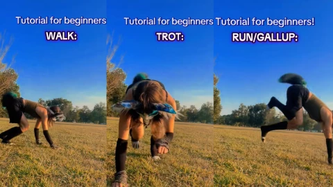 VIDEO_ Guía de quadrobics para ‘Therians’ principiantes; cómo empezar a practicar a correr en ‘4 patas’.webp