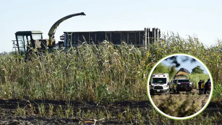Muere operador de trilladora en Ahome