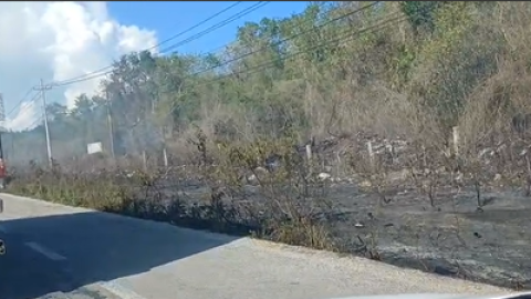 Incendio carretera federal 307