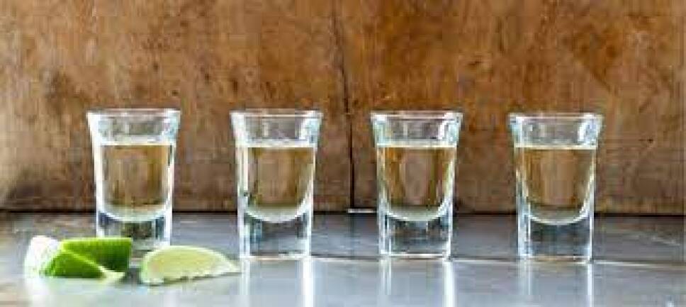 derivados agave - bacanora