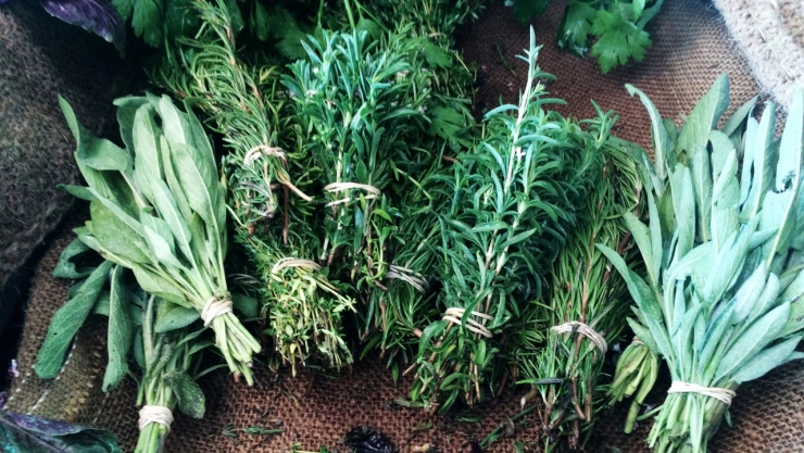 Las plantas medicinales y milenarias que fortalecen y curan los huesos, según un estudio