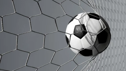 Jugador de futbol Mirko Saric