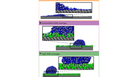 La capa hidrofóbica más resistente del mundo.