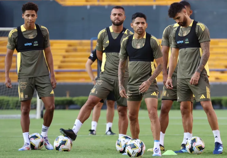 Tigres.jpg