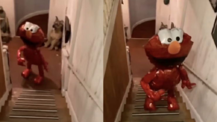 VIDEO | ¿Qué se sabe del globo de Elmo que cobró vida y se mueve solo?