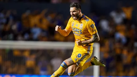Rafael Sobis regresar&iacute;a del retiro con Tigres