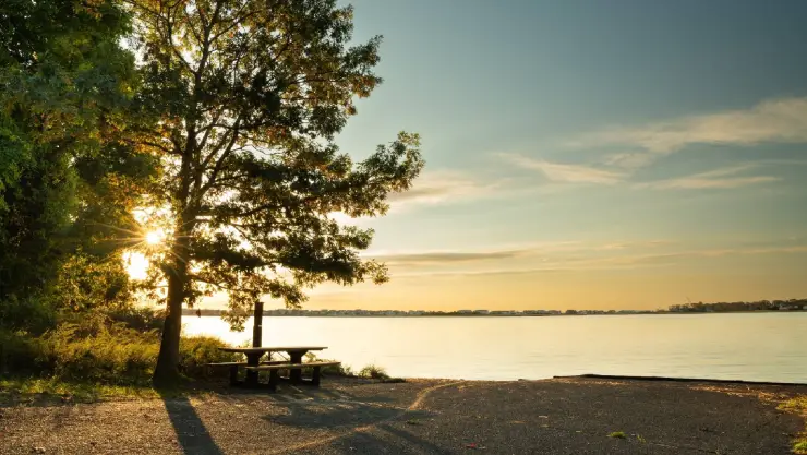 un hermoso paisaje con árboles y un atardecer precioso en Sandy Hook, New Jersey