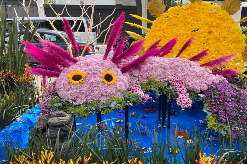Festival Flores y Jardinería 2022 Polanco