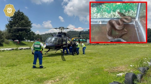 Equipos de búsqueda de Ana Ameli García Gámez en el Ajusco.
