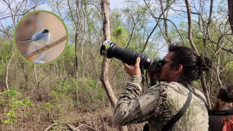 David Lara, el Cuenta Pájaros en Culiacán, Sinaloa. .jpg