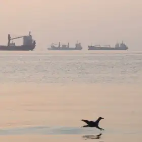 Barcos en el estrecho de Ormuz cerca de Bandar Abbas, Irán.