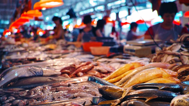 Seafood