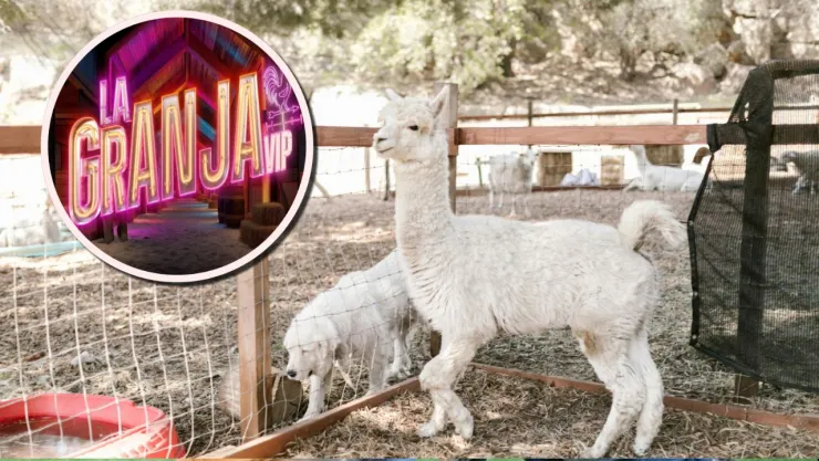 Los animales de La Granja VIP más difíciles de criar.
