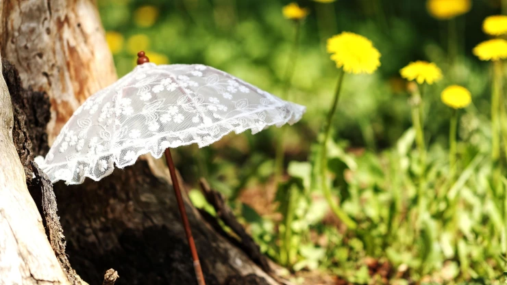 Clima hoy Jalisco: Estas serán las temperaturas en el Área Metropolitana de Guadalajara el 17 de abril de 2025