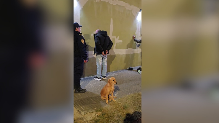 Perrito viral en operativo policial