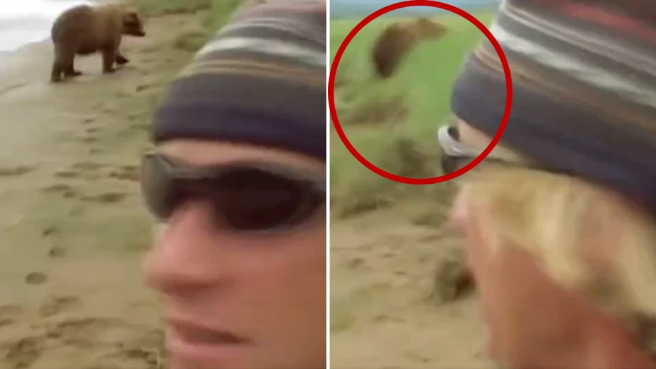 Timothy Treadwell y su novia fueron devorados por oso este fue su desesperado final.png