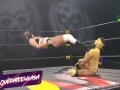 Lucha Fighter
