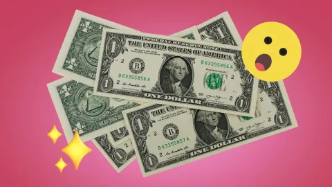DOLARES