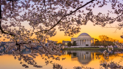 Todos los detalles de la llegada de la primavera a Estados Unidos.