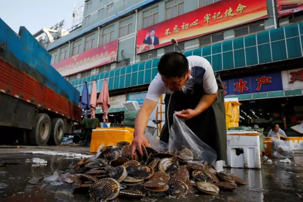 estudios-mercado-de-wuhan-covid-19.jpg