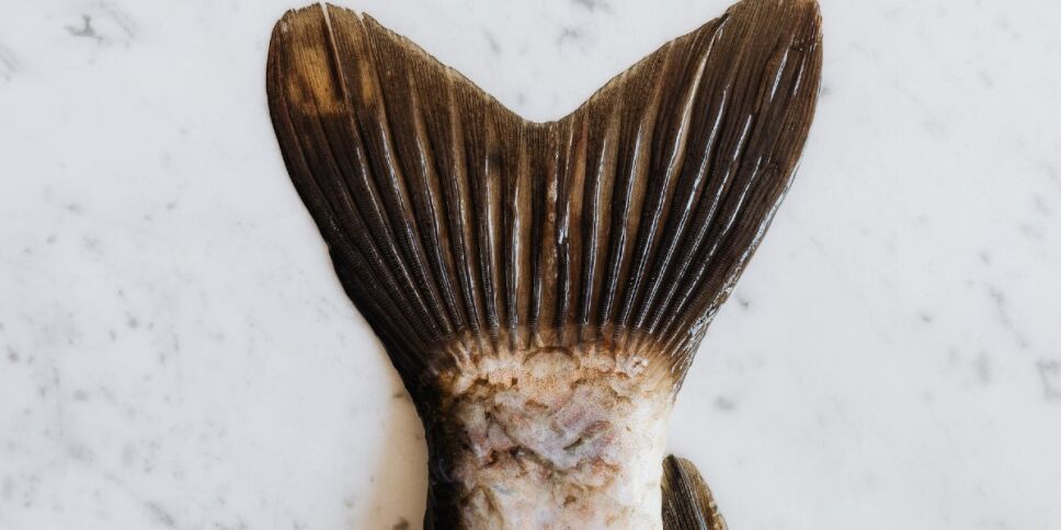 Espinas del pescado
