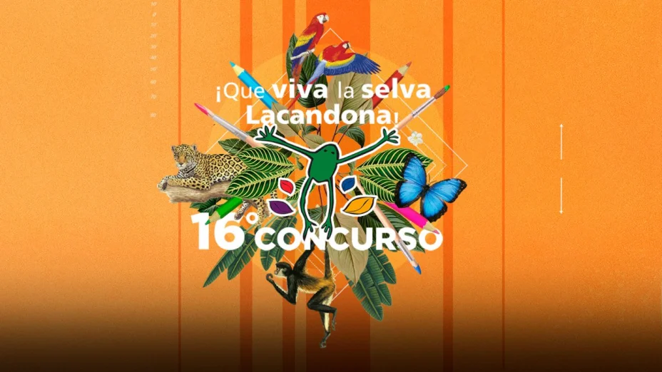Concurso 16