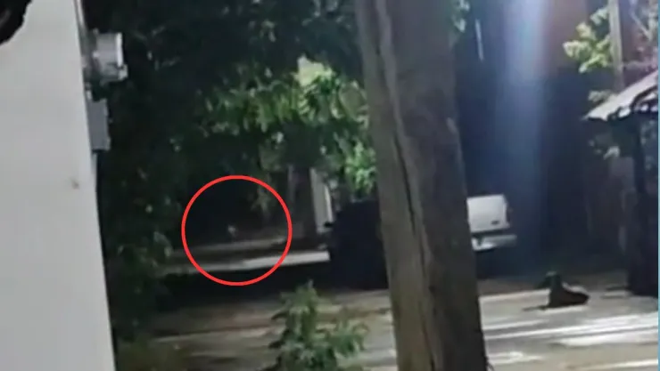 Chaneques
