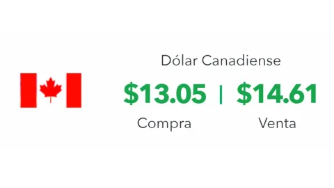 Tipo de cambio: Precio del dólar hoy 16 de septiembre 2024 en México