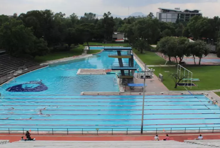 Lanzan convocatoria para nadar en la Alberca Olímpica Universitaria de CU y estos son los requisitos