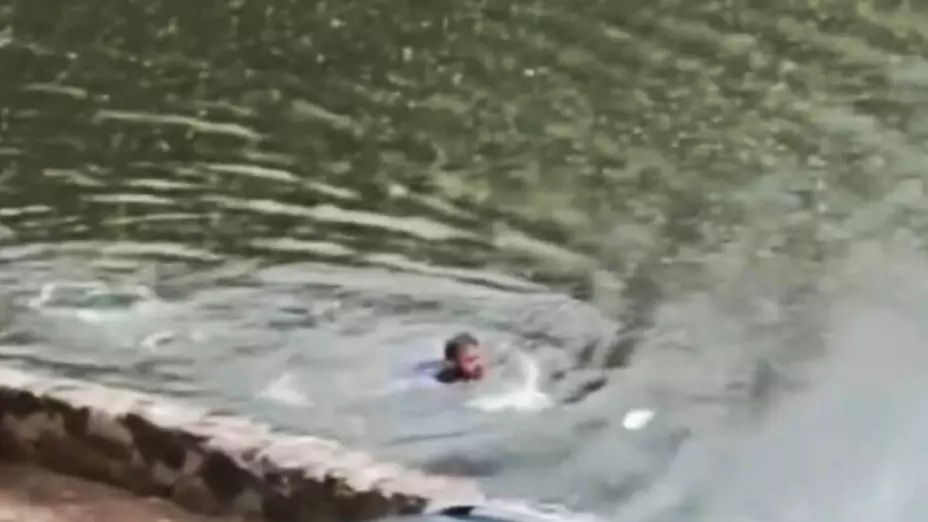 VIDEO: Hombre se lanzó a laguna llena de cocodrilos en Tabasco; sobrevivió de forma dramática
