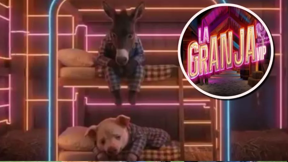 Por qué dormir en el granero es la peor opción en La Granja VIP.jpg