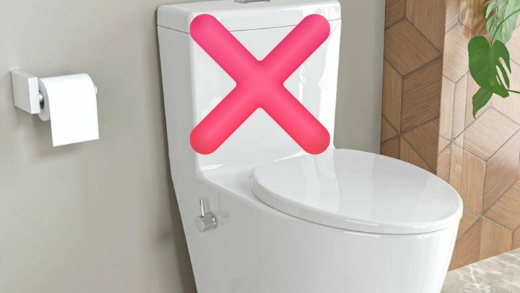 Dile adiós a la taza de baño blanca: este modelo elegante cambia por completo la decoración