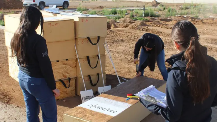 41 cuerpos no identificados