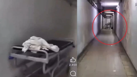video terror camilla hospital ecuador