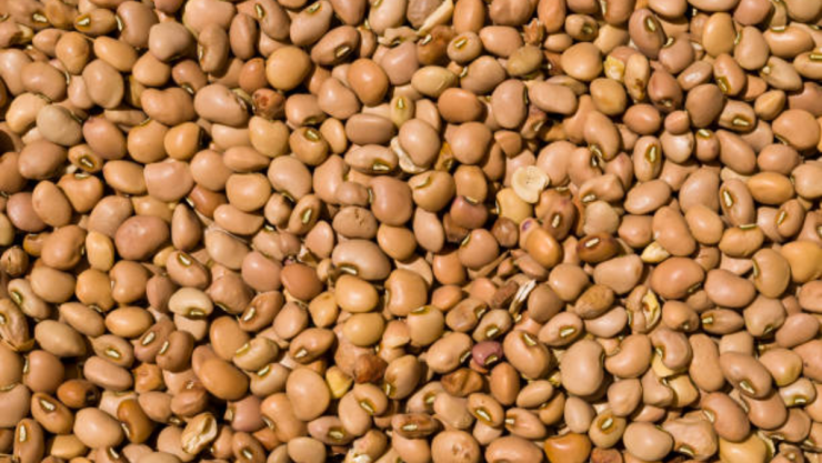 Frijoles blancos o bayos