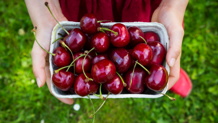 Estas son las personas que no deben comer cerezas