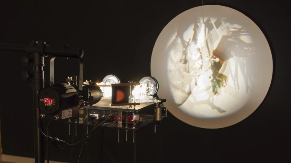 Exposición "Ánima Terra”